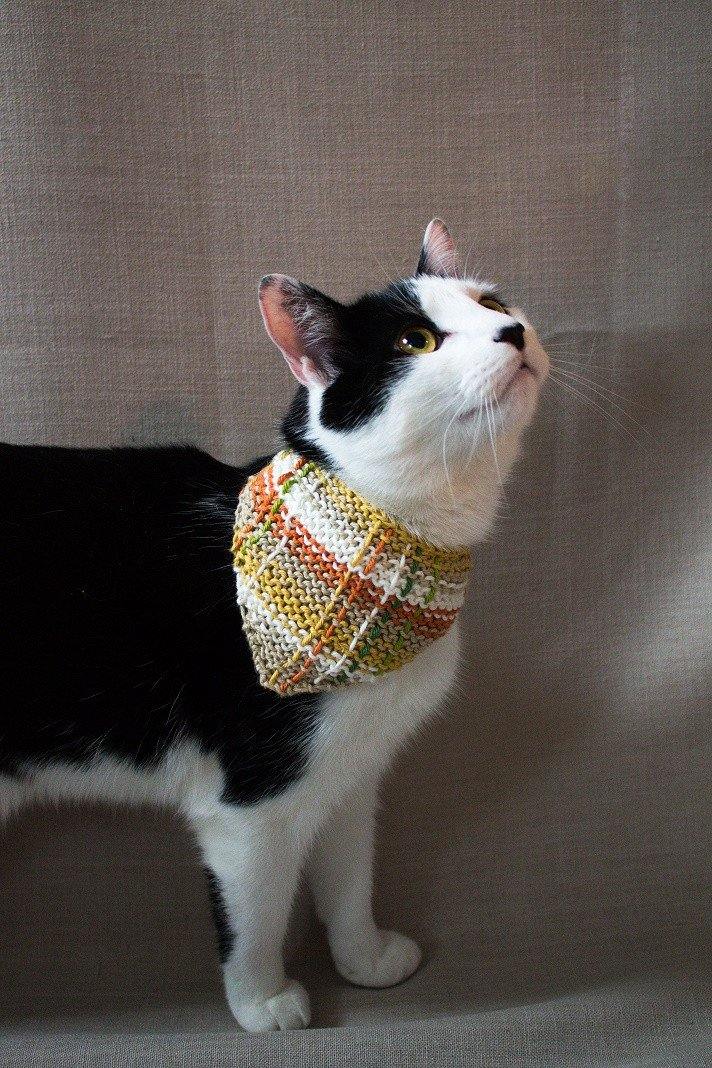 Pet Neckerchief - Moochka